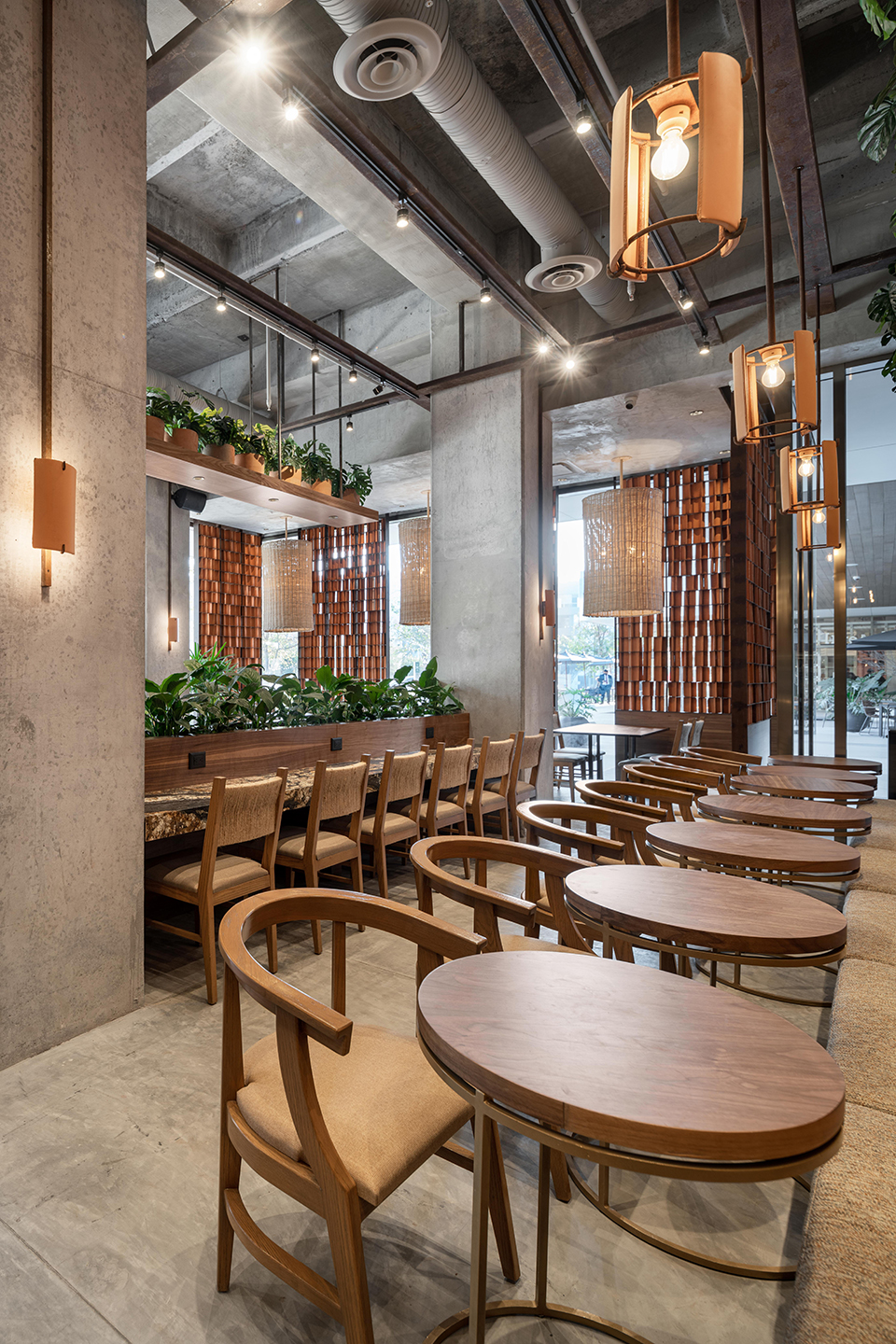 墨西哥 Kali 咖啡馆丨Concéntrico-53