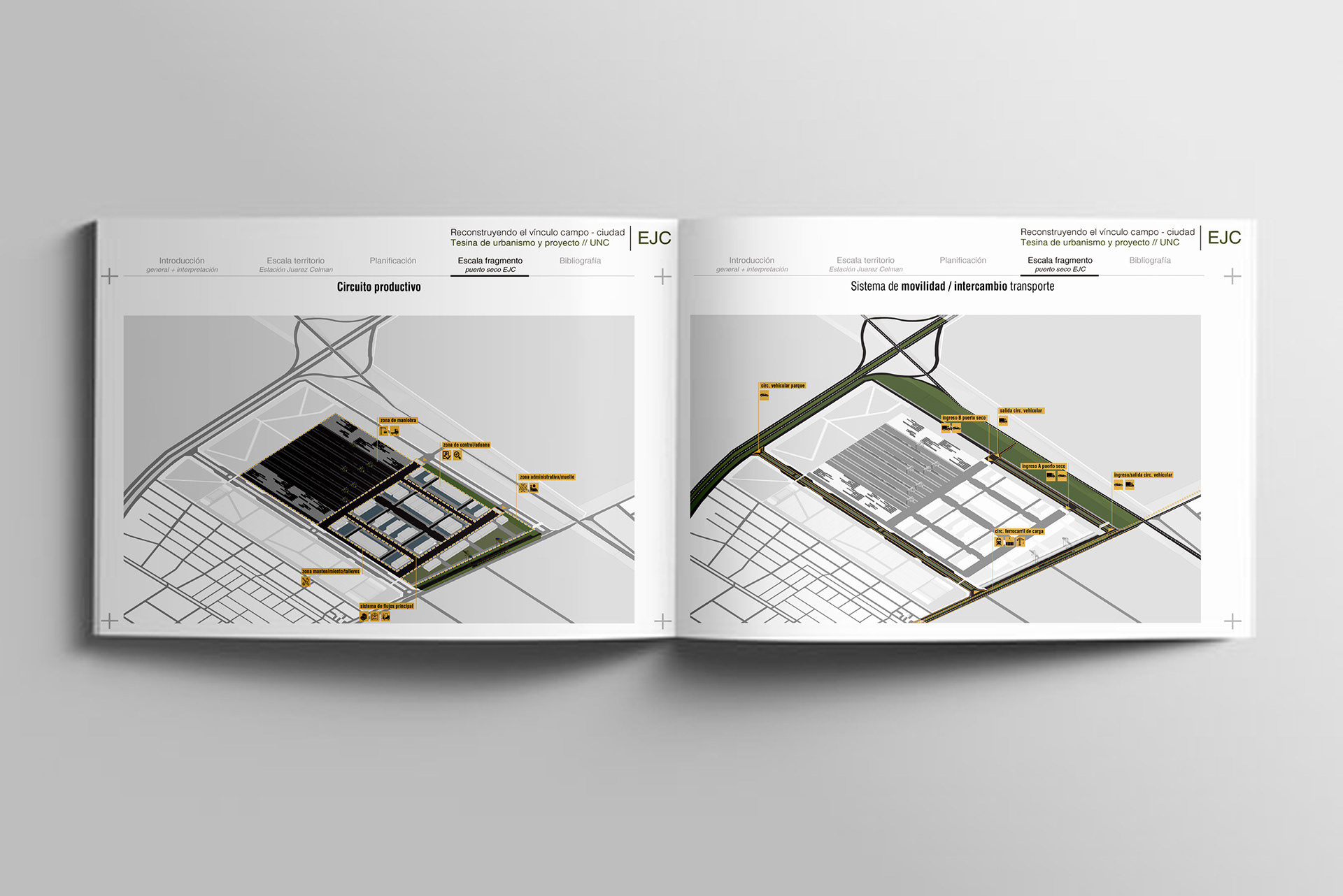 Tesis de grado 2025-6