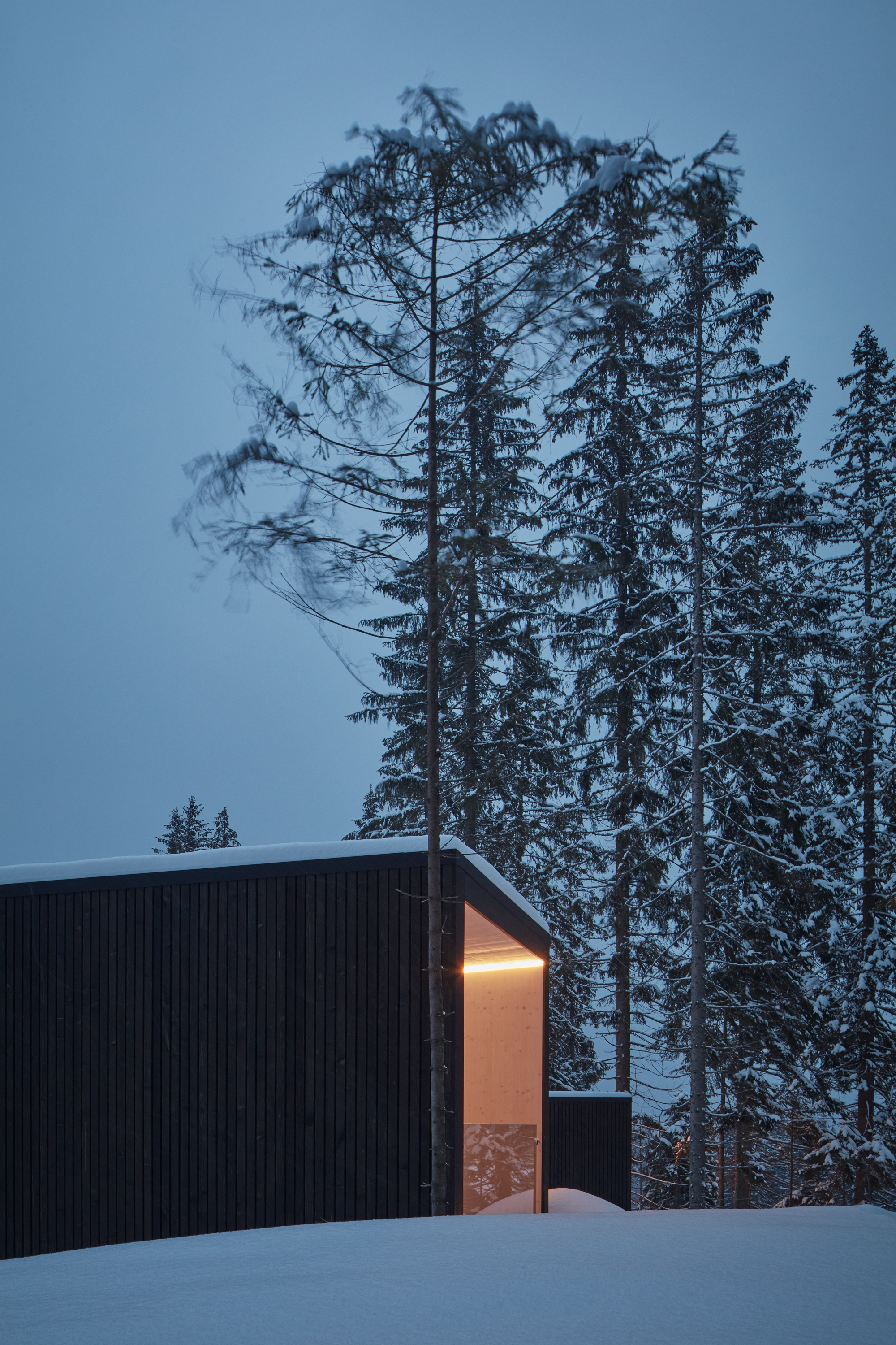 森林酒店 Bjornson 的双向公寓设计丨Arkshelter-32