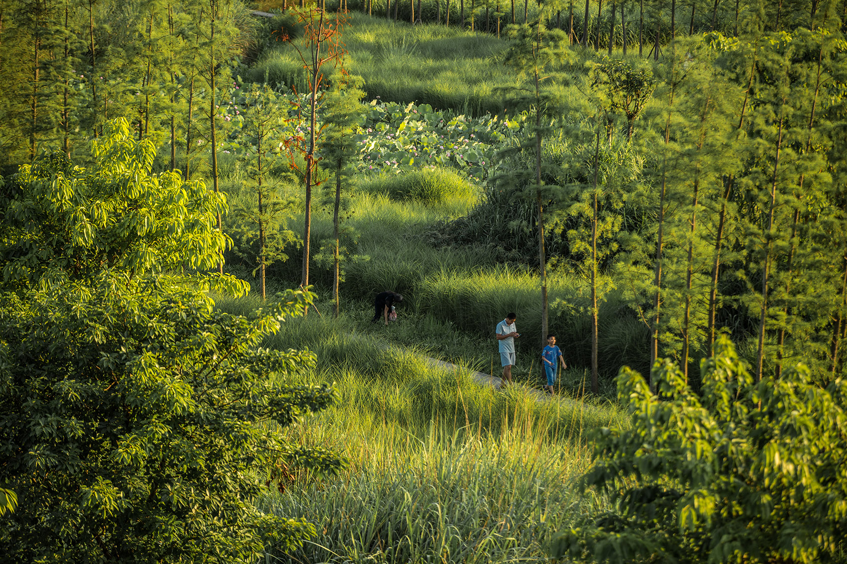 重庆潼南大佛寺湿地公园 / 土人设计-28