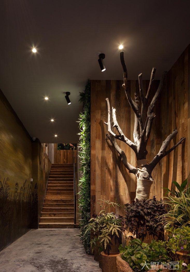 绿意盎然的自然咖啡厅-2