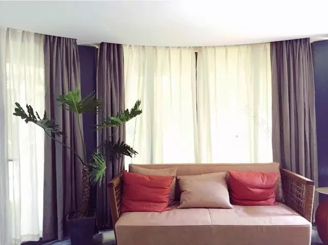 两个小女生,造了一间全镇上最文艺的花房,从此与花草为伴-136