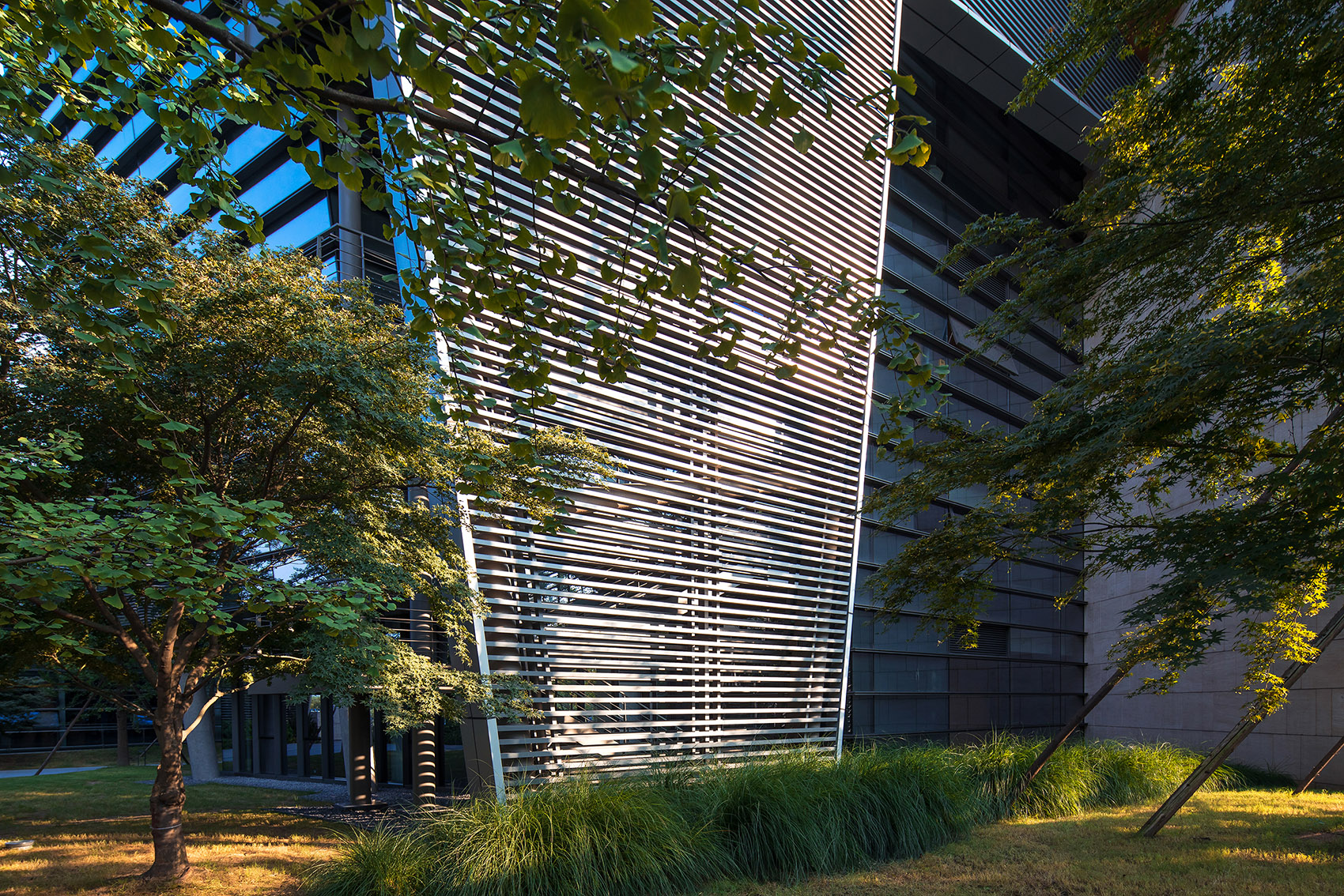 成都麓湖郎酒集团总部 / 上海骏地建筑设计事务所股份有限公司-30