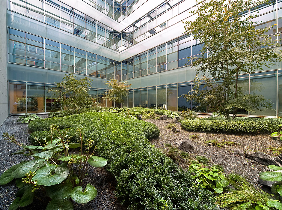 Madrid 办公大楼庭院花园 · 有机自然主义的设计实践-12