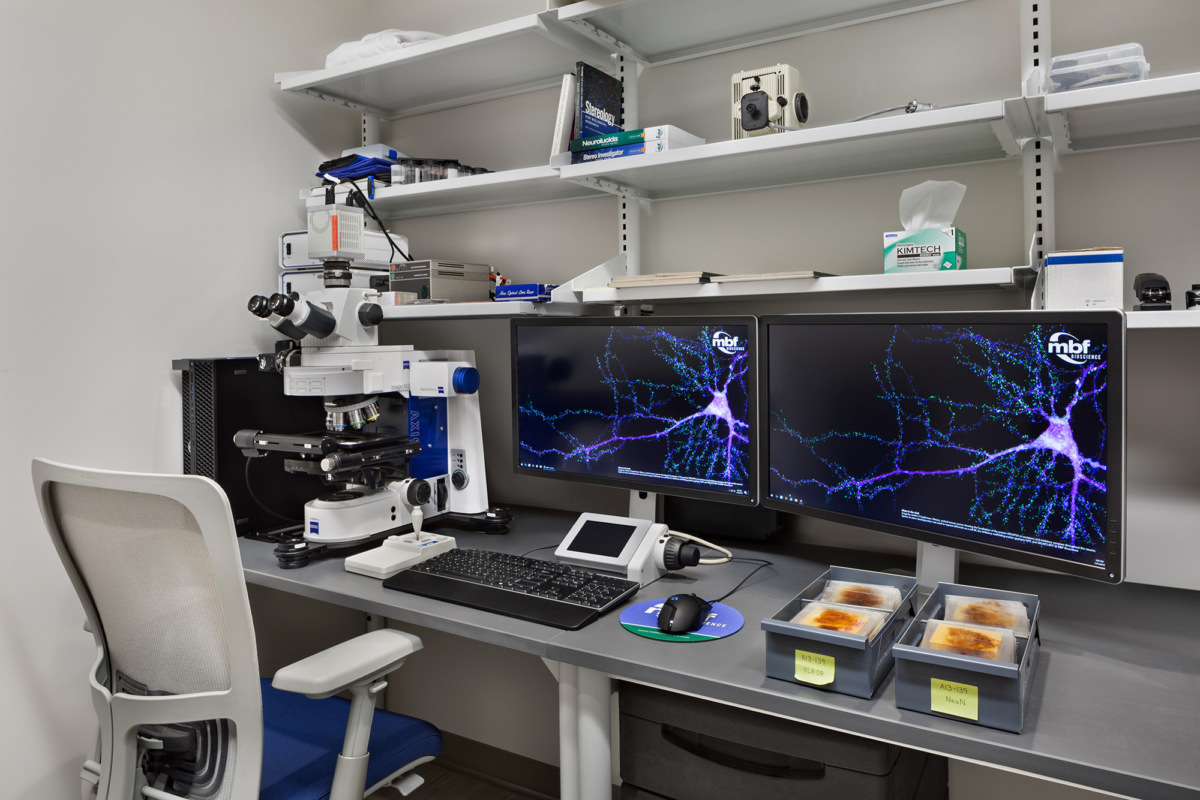 Northwestern 大学认知神经学与阿尔茨海默病研究中心-13