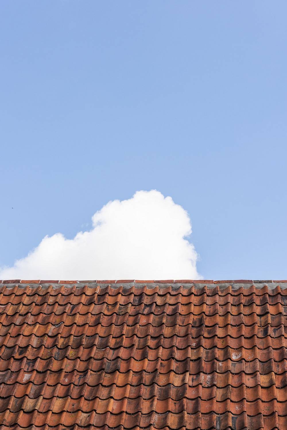 霍夫 VM AR 建筑事务所 （有限责任公司） 

注：BV是荷兰语Besloten Vennootschap的缩写，相当于英文的Private Limited Company ，即有限责任公司 不过这个表述在实际语境中也可按需省略 -7