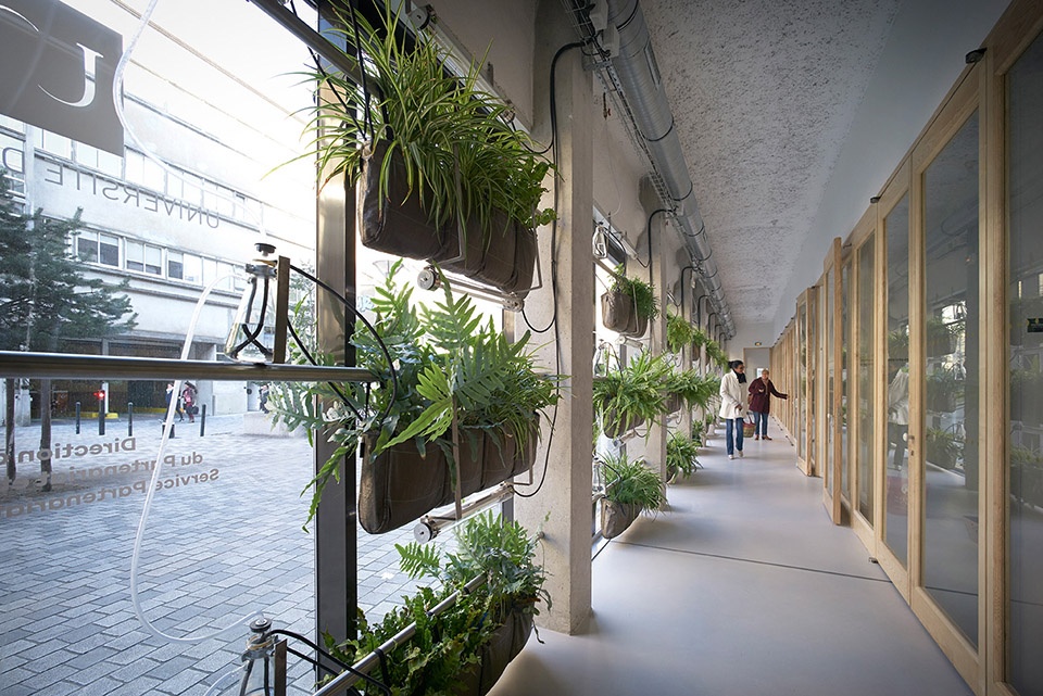 南特大学研究中心绿色立面系统 | 绿意盎然的水培植物模块-3