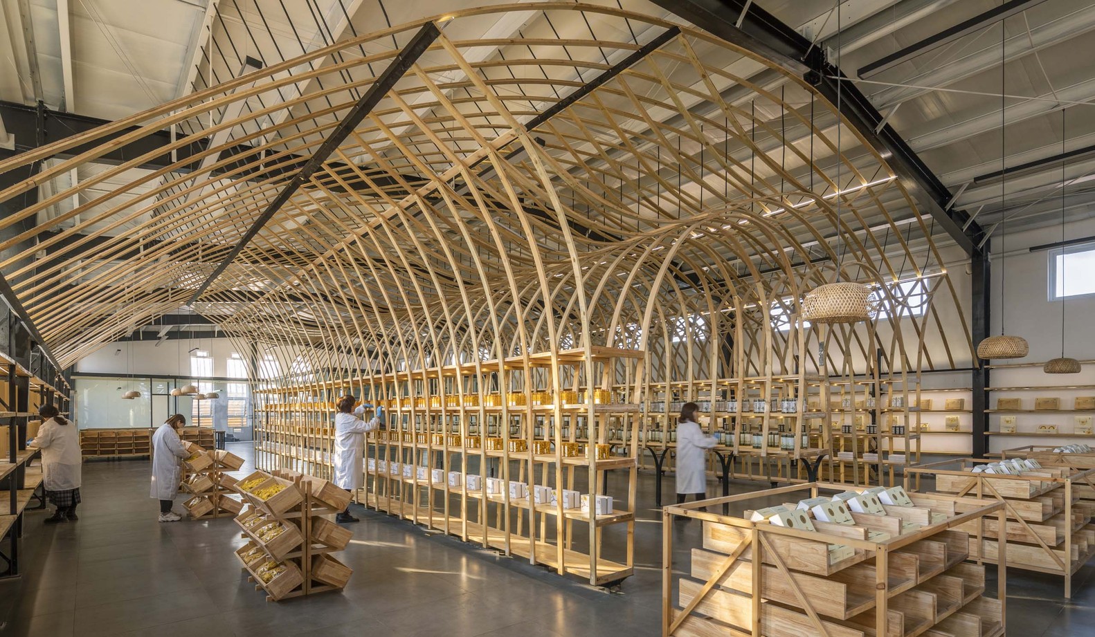 云台山冰菊展示架丨中国焦作丨LUO studio-16