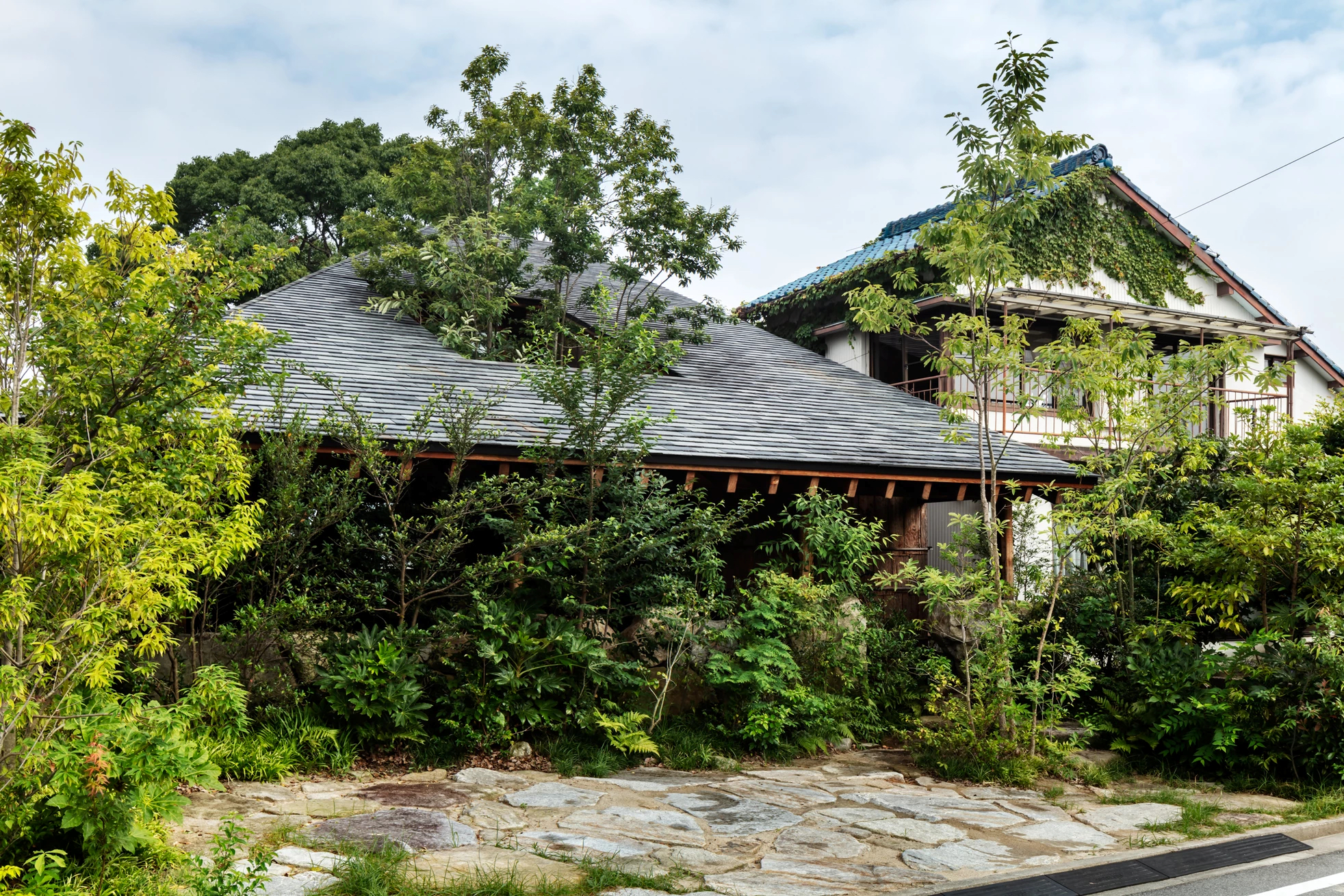 石头缝里的生机 · 大地之家的绿色创新设计-10