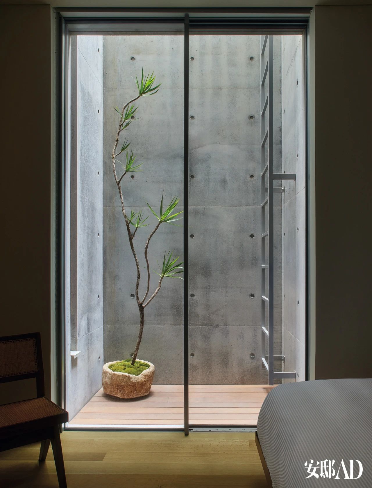 安藤忠雄为洛伦佐・哈达尔设计的西好莱坞住宅丨美国洛杉矶丨安藤忠雄项目团队（建筑师Alex Iida等）-32