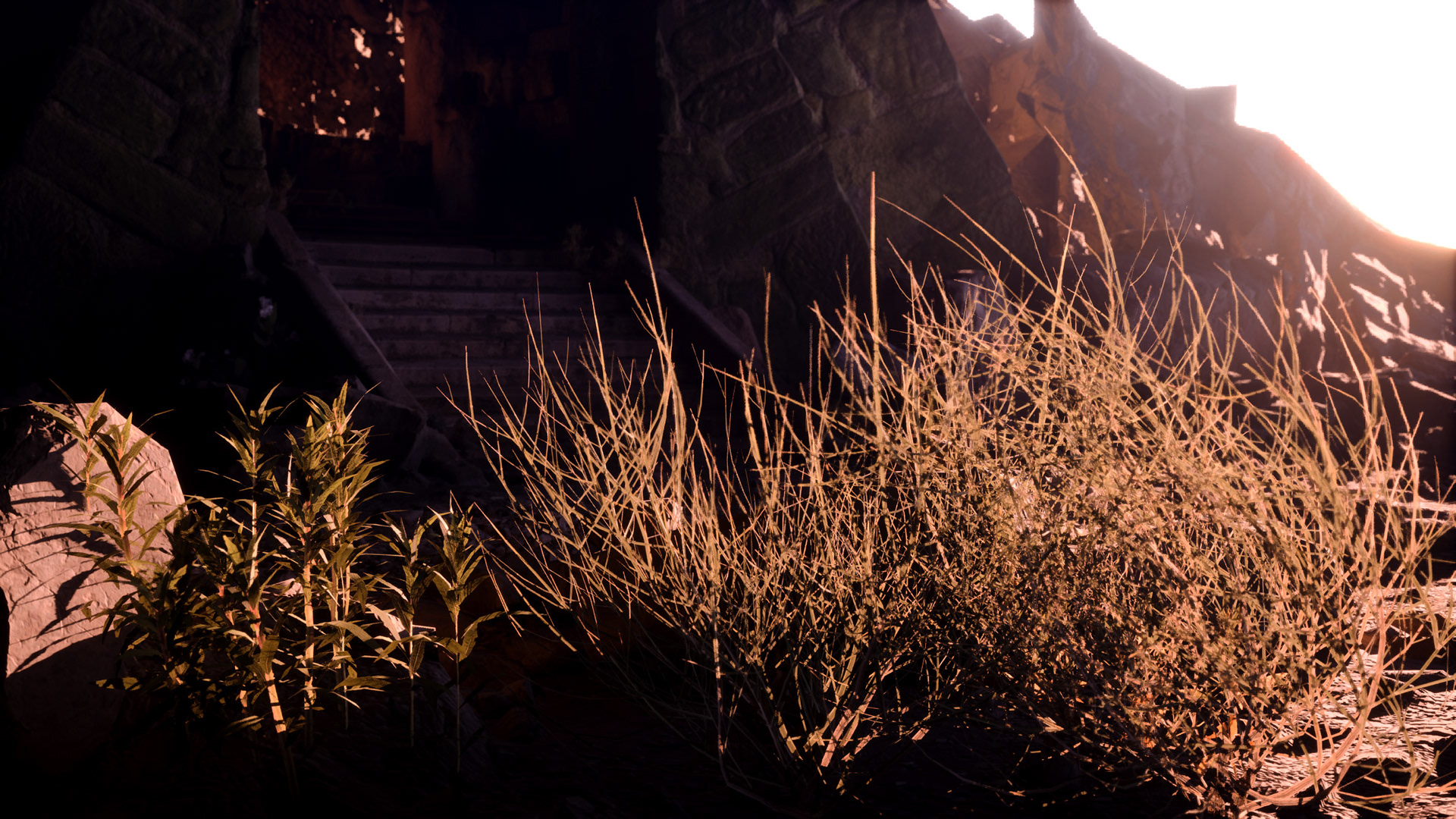 朝圣者休息地（注：Pilgrim's Rest是南非的一个小镇名，也可直译为朝圣者休息处，这里结合常见译法给出） -4