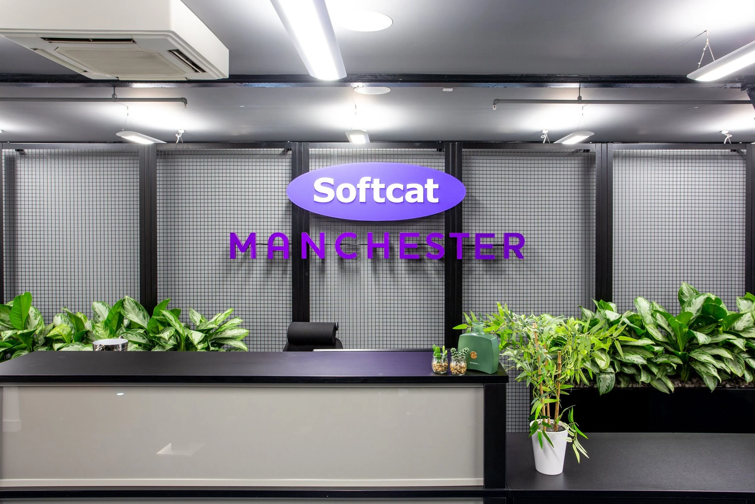 软猫曼彻斯特办公室 | 佩尔顿·罗斯-22