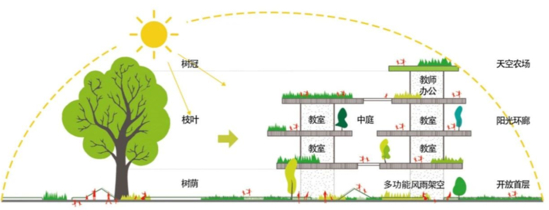 深圳市第十二幼儿园丨中国深圳丨深圳市库博建筑设计事务所有限公司-28