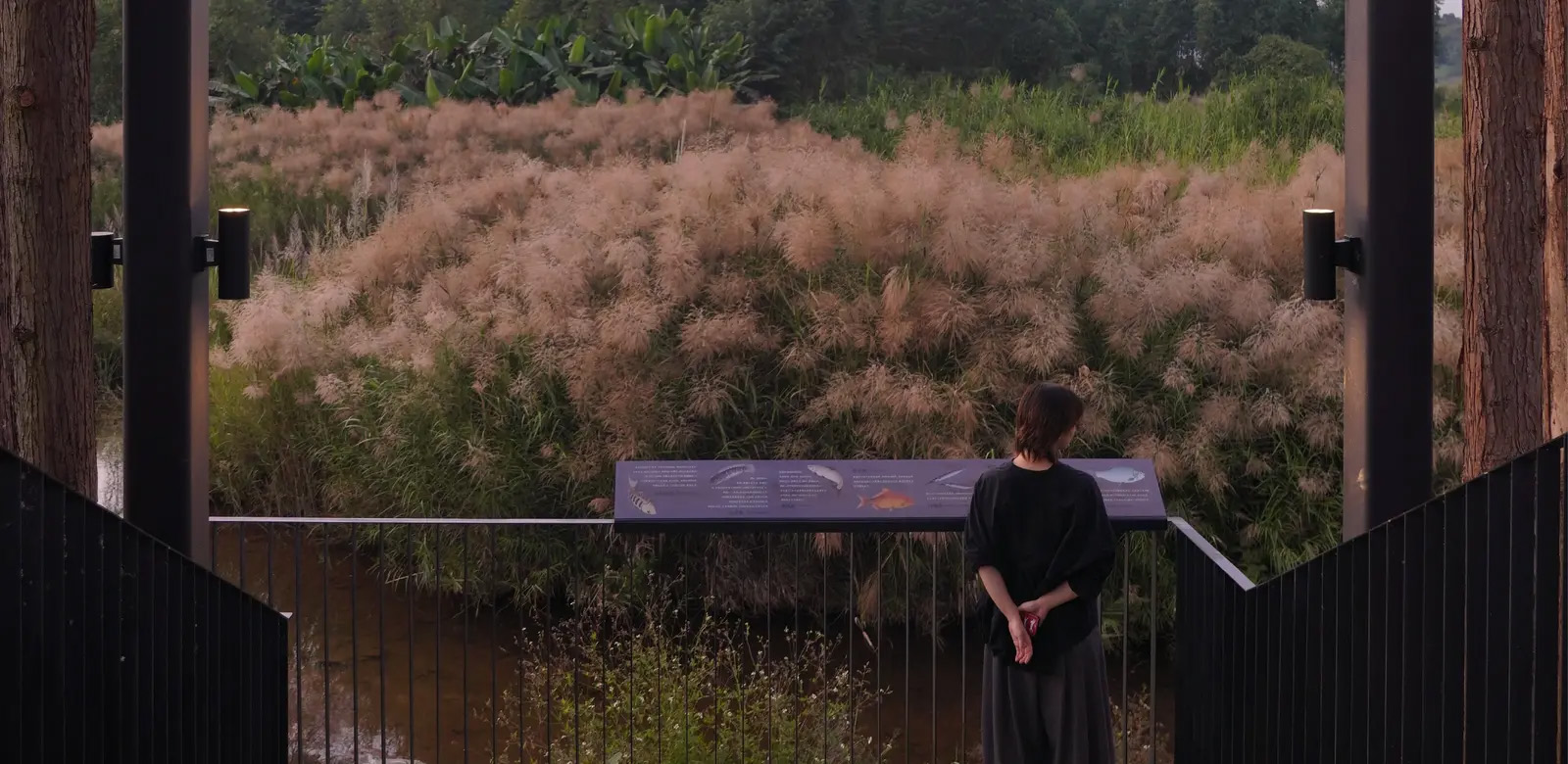 桂头镇湿地公园丨中国广东丨有限设计工作室-34