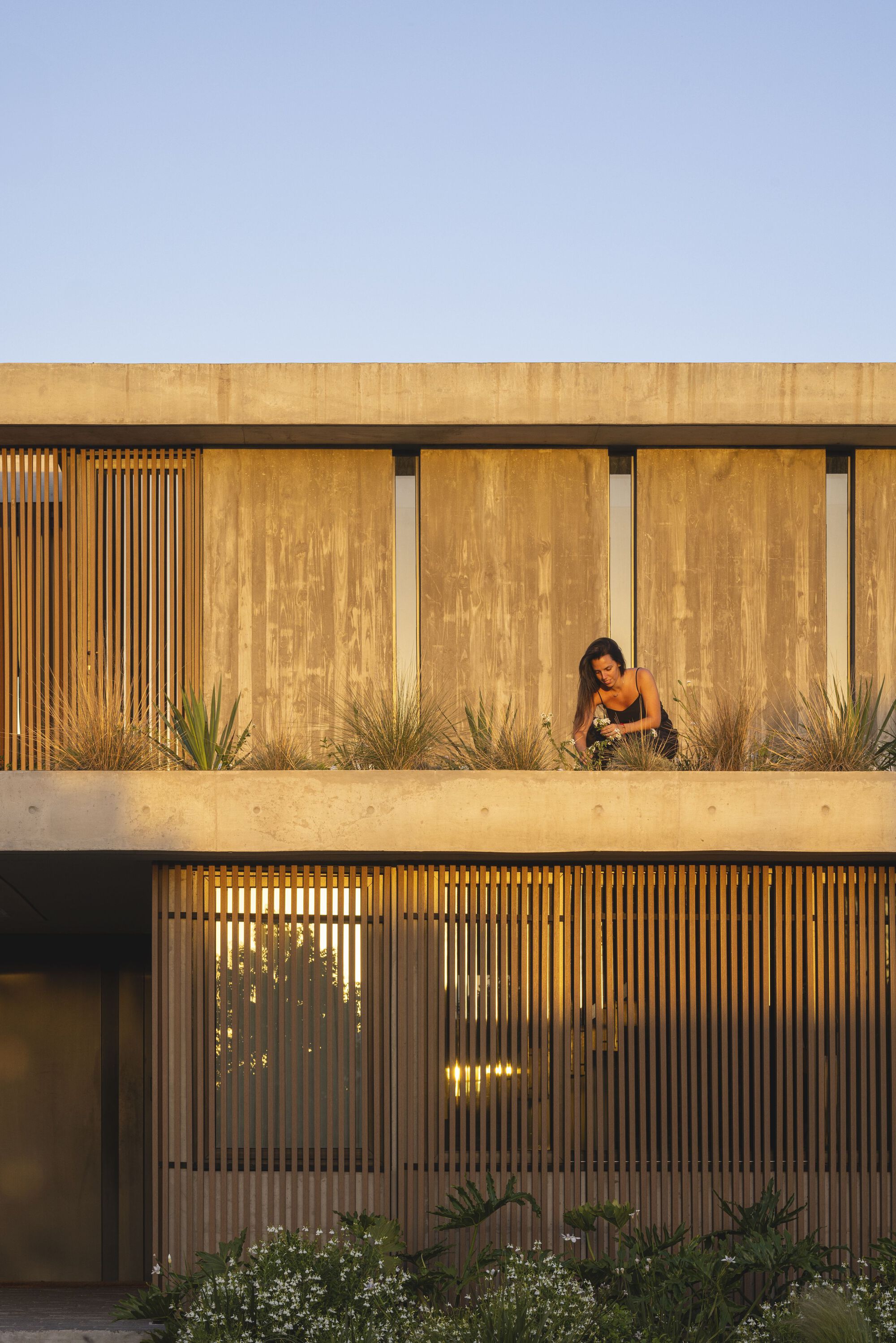 Tamiz 住宅丨阿根廷丨Gonzalo Bardach arquitectura-21