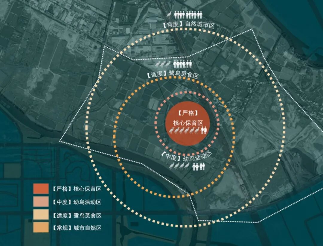顺德鹭鸟湿地片区景观规划丨中国佛山丨AECOM-27