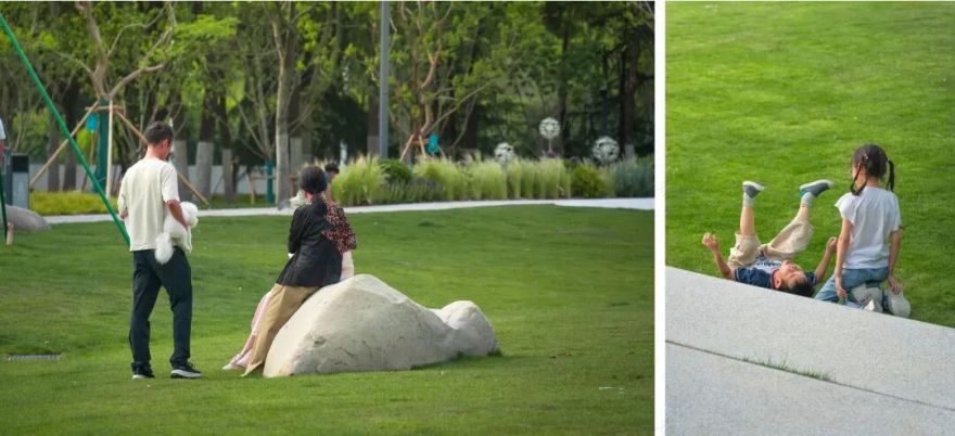 唤醒自然,天鹅重现—城市里的治愈系游园|园科作品-35