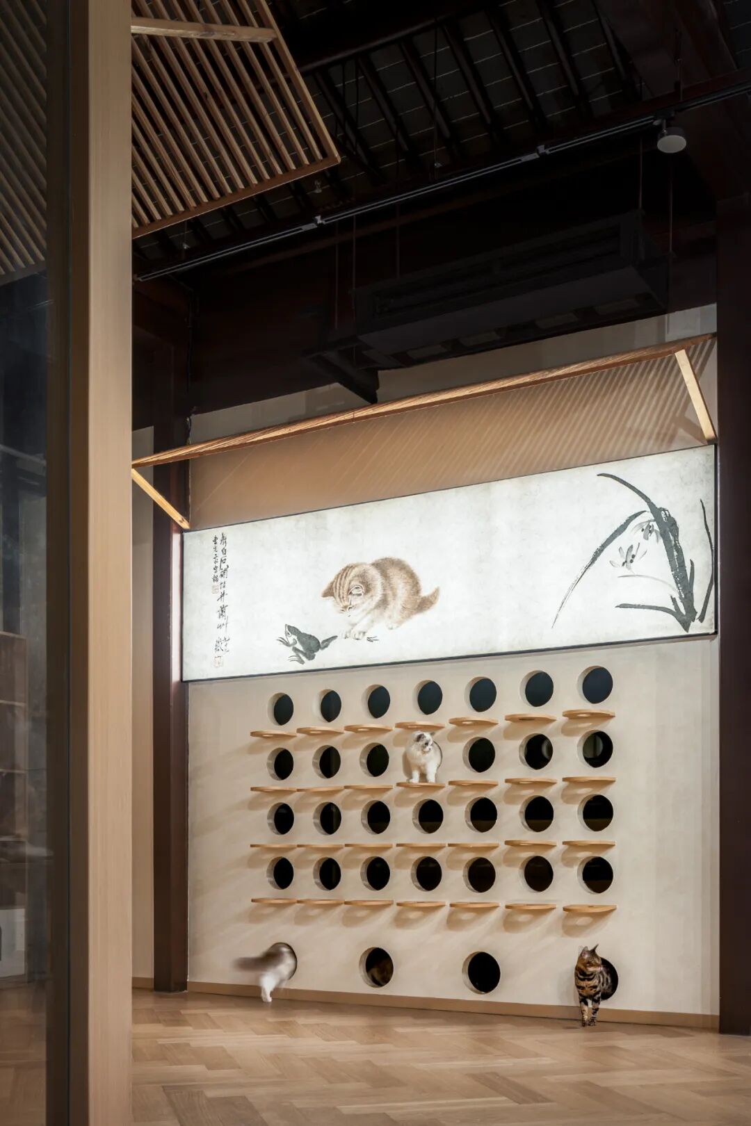 平江老街的萌宠空间-23