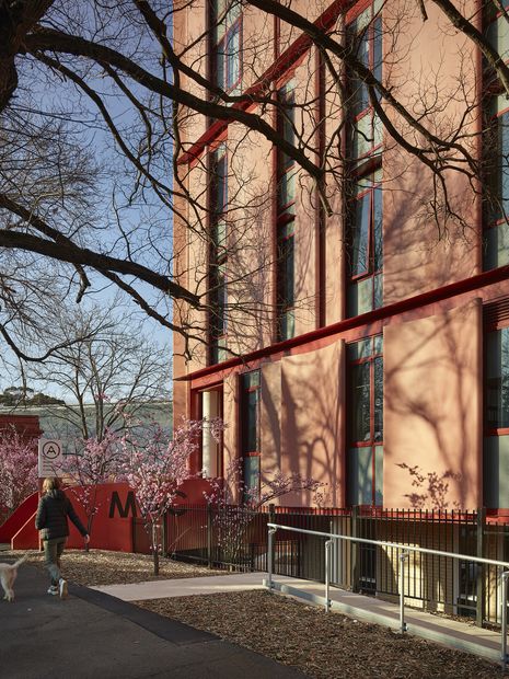 Mount Alexand丨澳大利亚丨 亚历克斯·布朗-2