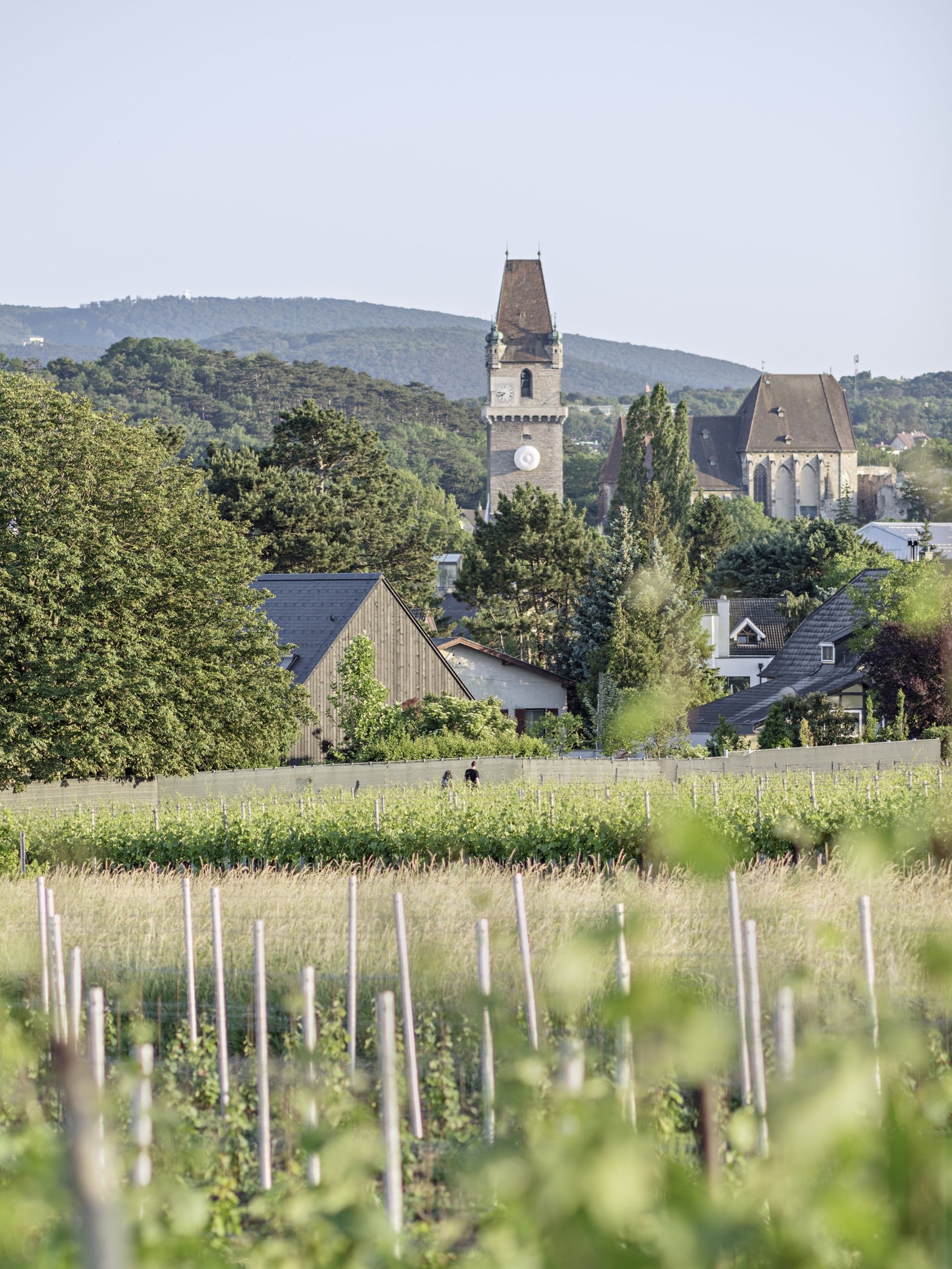 丨奥地利下奥地利丨Bernardo Bader Architekten-16