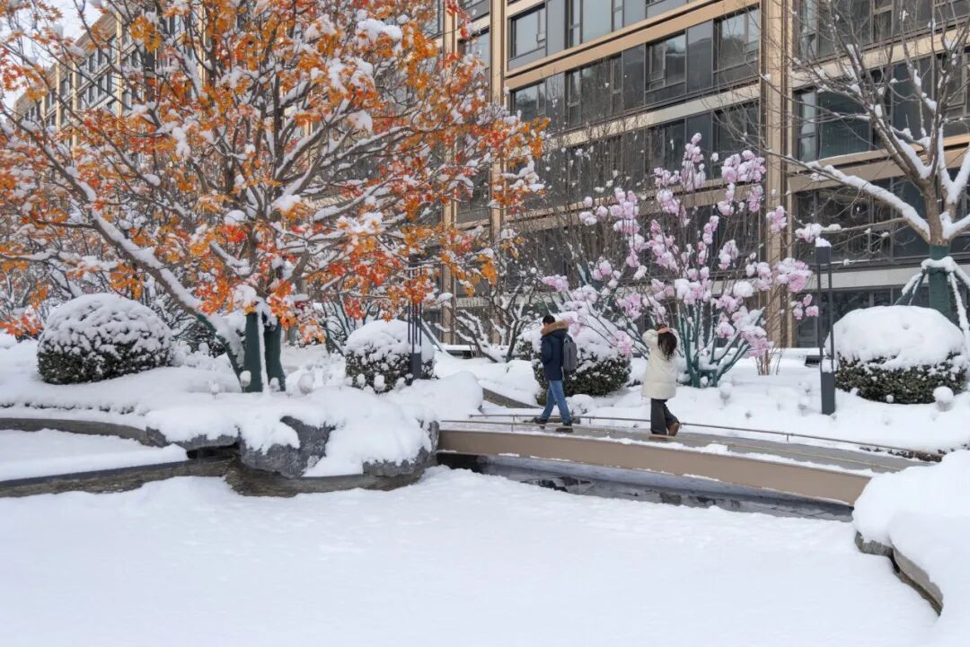 北京·中海·翠湖玖章丨中国北京丨麦田景观-6