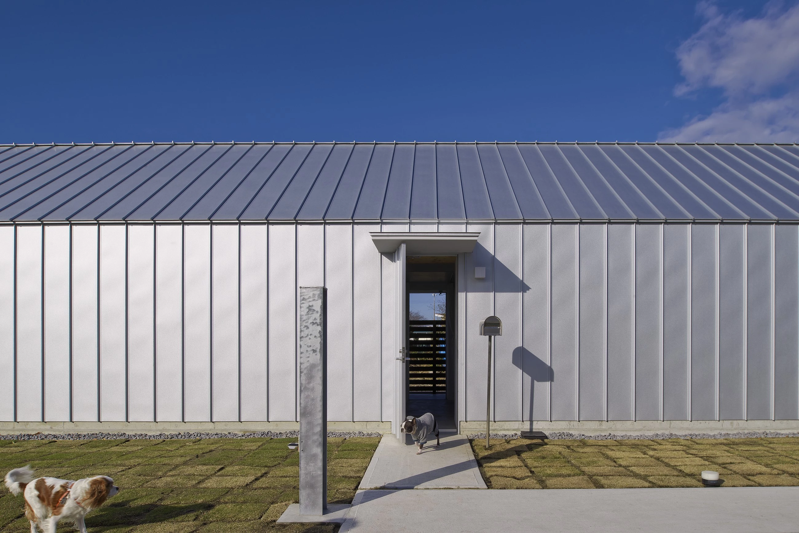 日本稻田中的“狗沙龙”住宅-17