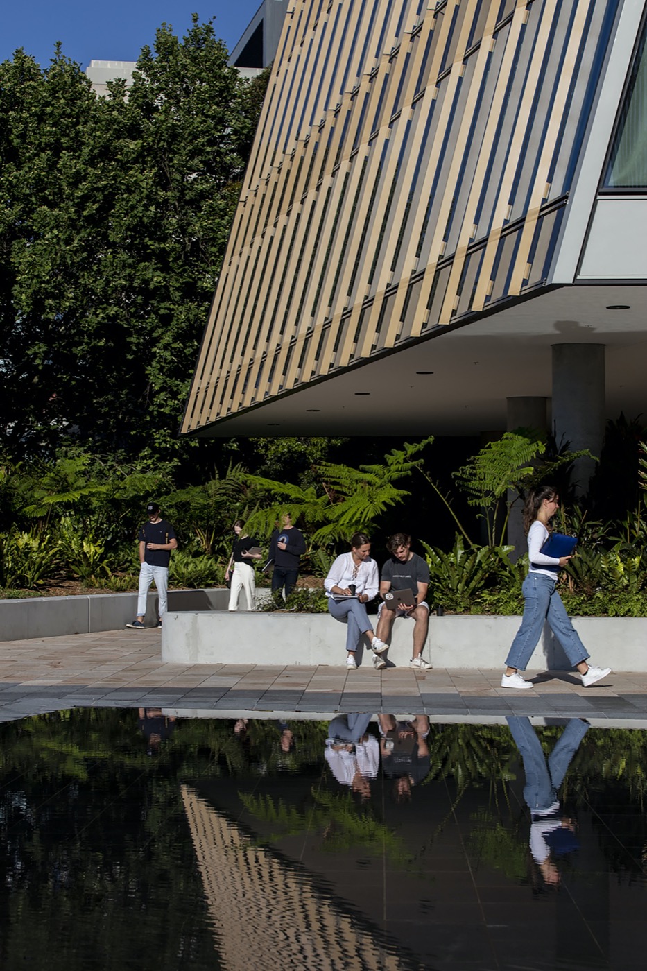 悉尼 Susan Wakil 健康区丨澳大利亚悉尼丨Arcadia Landscape Architecture-7