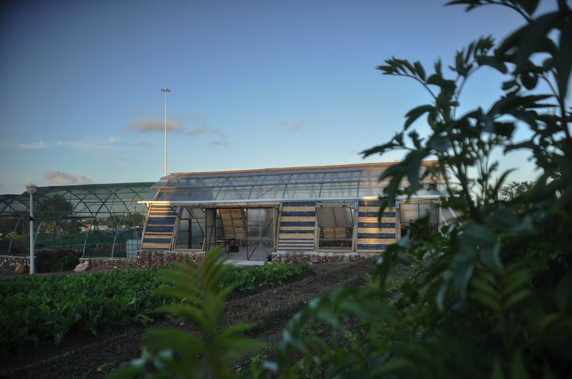 Lim'uhphile Co-op / Collectif saga-28