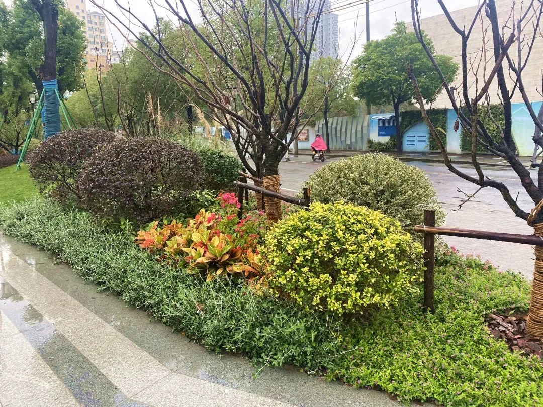 颜值爆表！长宁区有一处街心花园建成开放-20