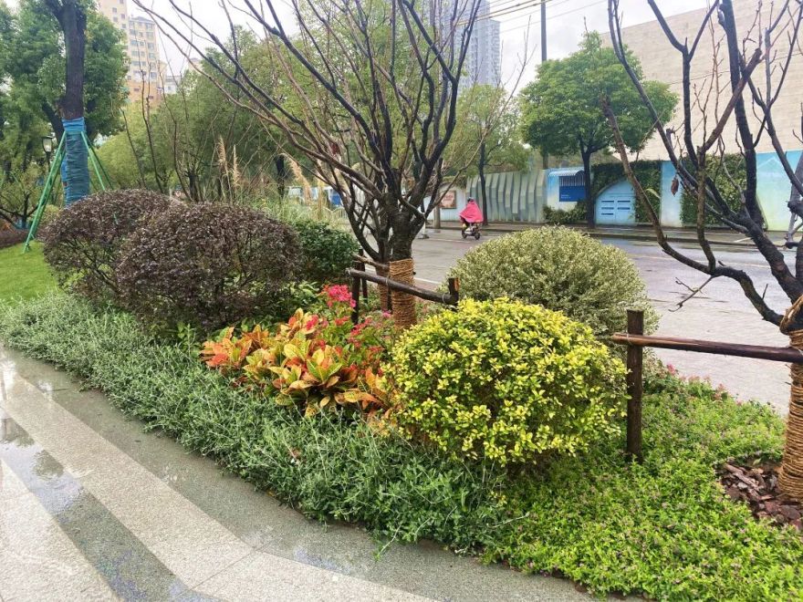 颜值爆表!长宁区有一处街心花园建成开放-20
