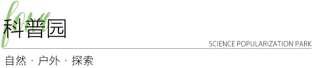 湖南师大附中双语树人学校丨中国长沙丨希尔-37