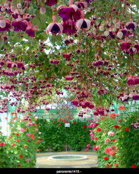 Magiche serre reali di Laeken (Bruxelles) | theouterthebetter