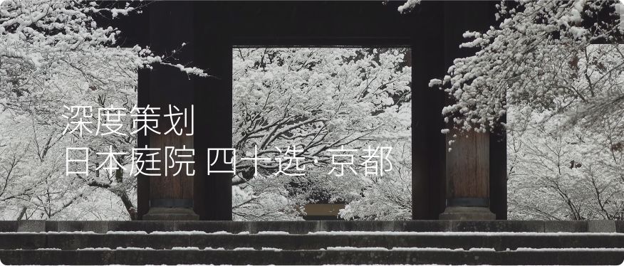 2020 餐饮设计风向标 | 四家新餐厅引领潮流-94