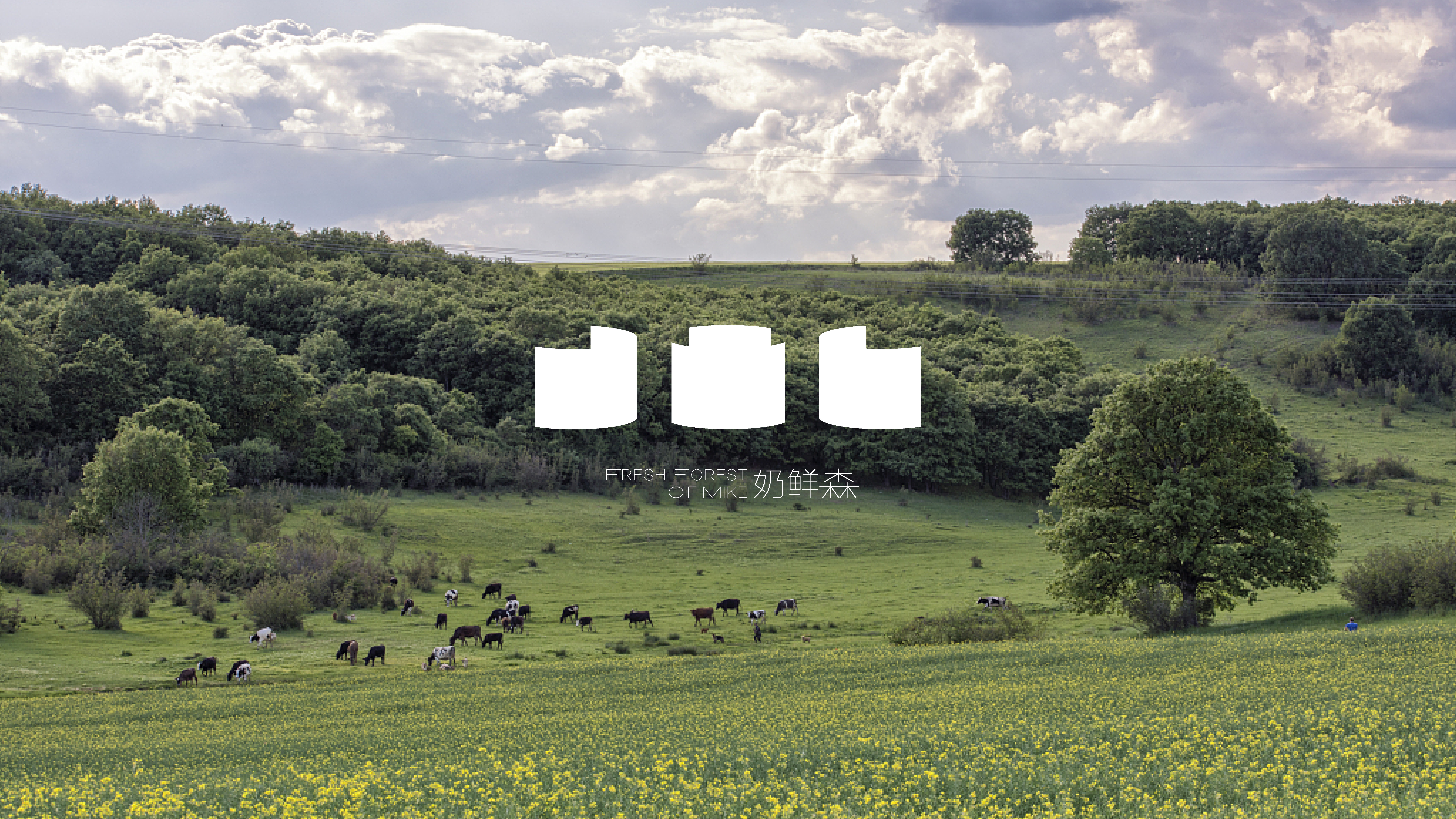 奶鲜森品牌设计-0