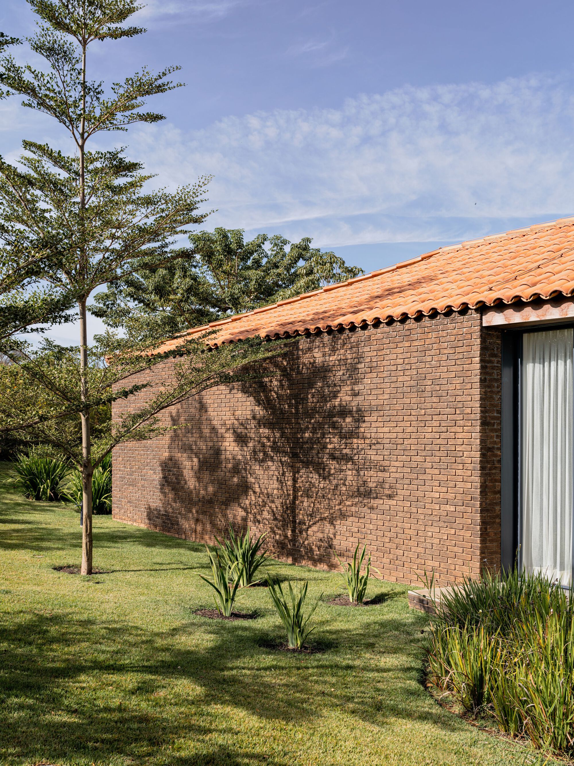 丨巴西圣保罗丨Felipe Hess Arquitetos-29