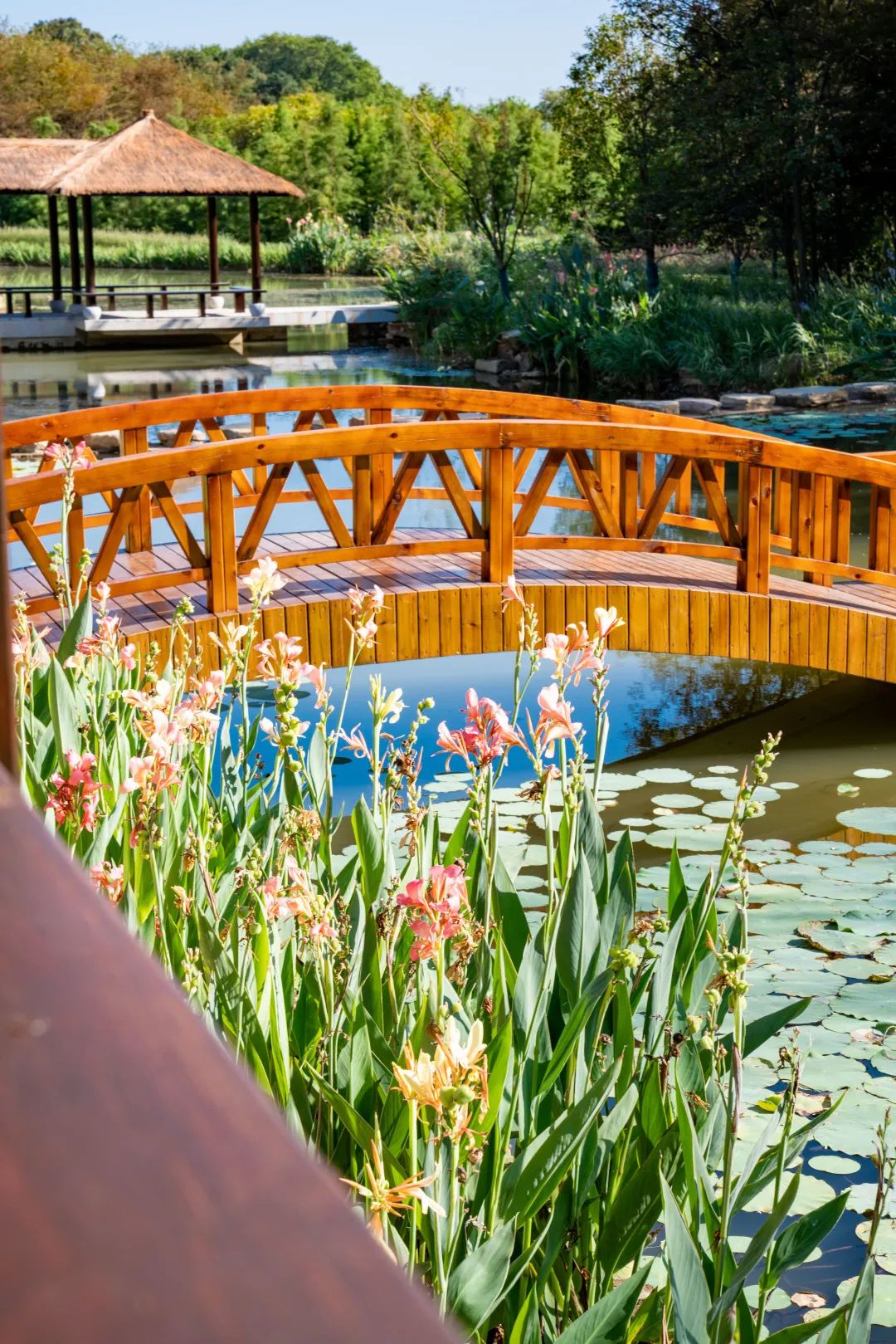 溧阳 1 号公路汨罗灞驿站丨中国江苏丨上海亦境建筑景观有限公司,上海交通大学设计学院风景园林研究所-45