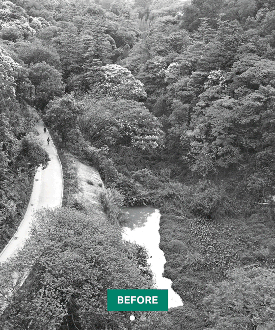 广州云溪植物园环境提升工程整体景观设计丨中国广州丨AECOM,广州园林建筑规划设计研究总院等-49