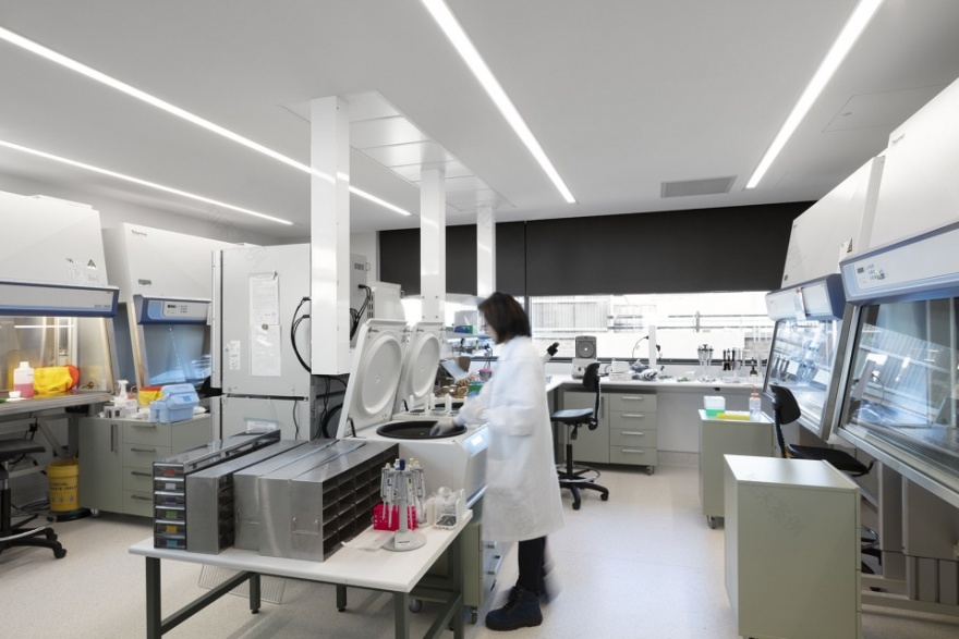 墨尔本 Bio21 研究所 | 动态合作空间与自然环境的完美融合-42