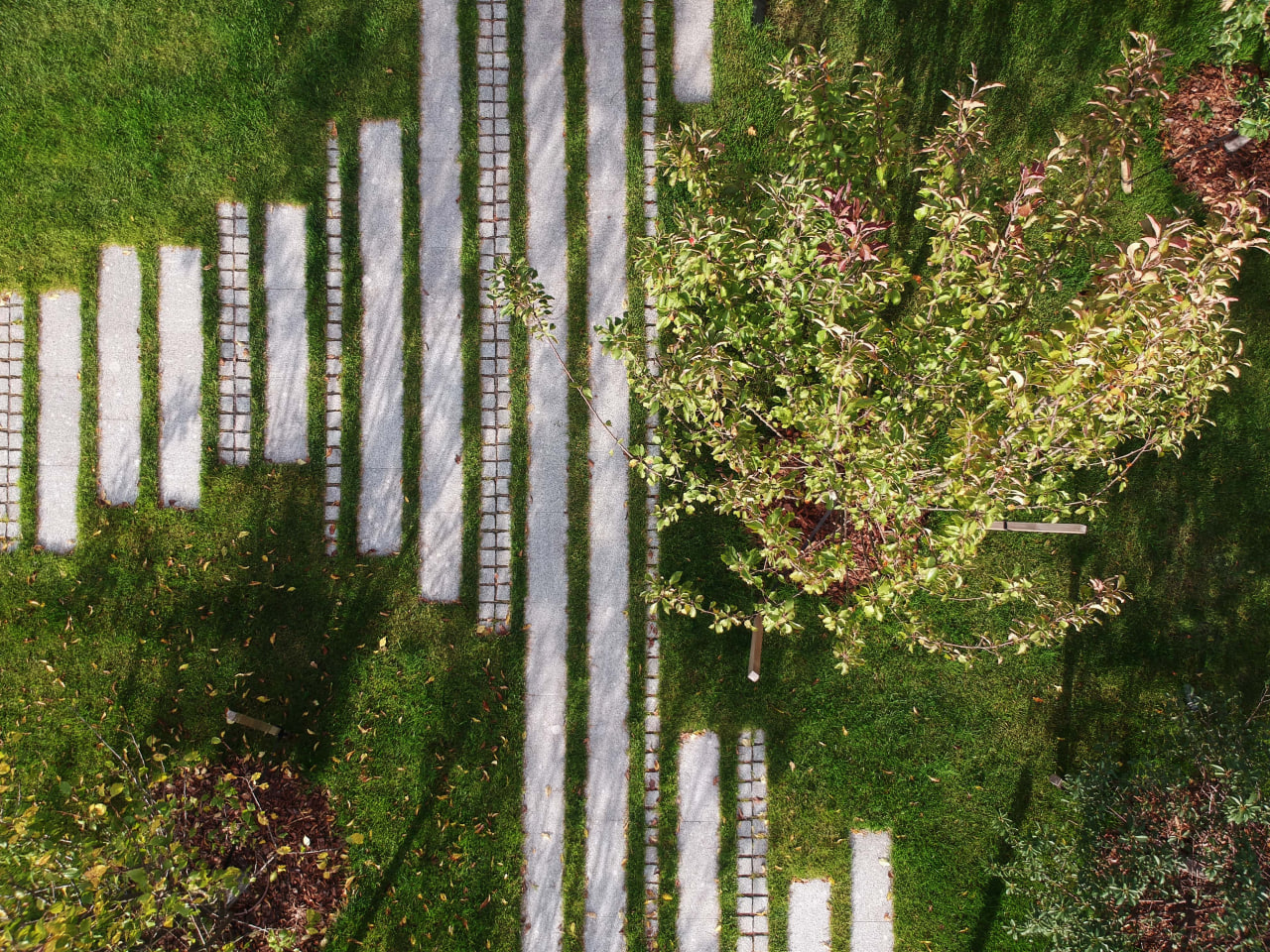 茉莉藓丨俄罗斯丨«ХВОЯ ландшафтное строительство»-13