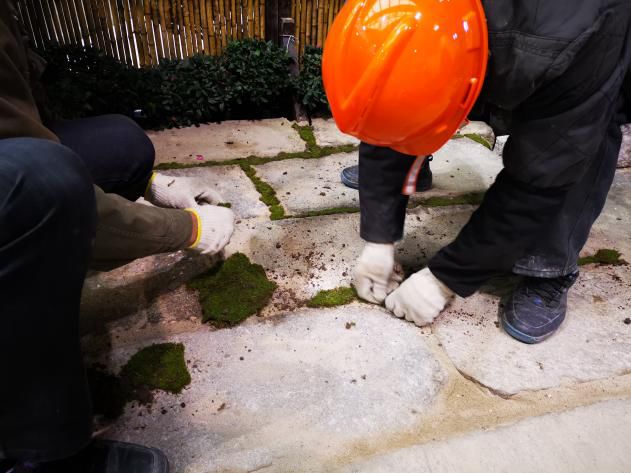 草月流景观觅真园 | 日式庭院的生活艺术-43