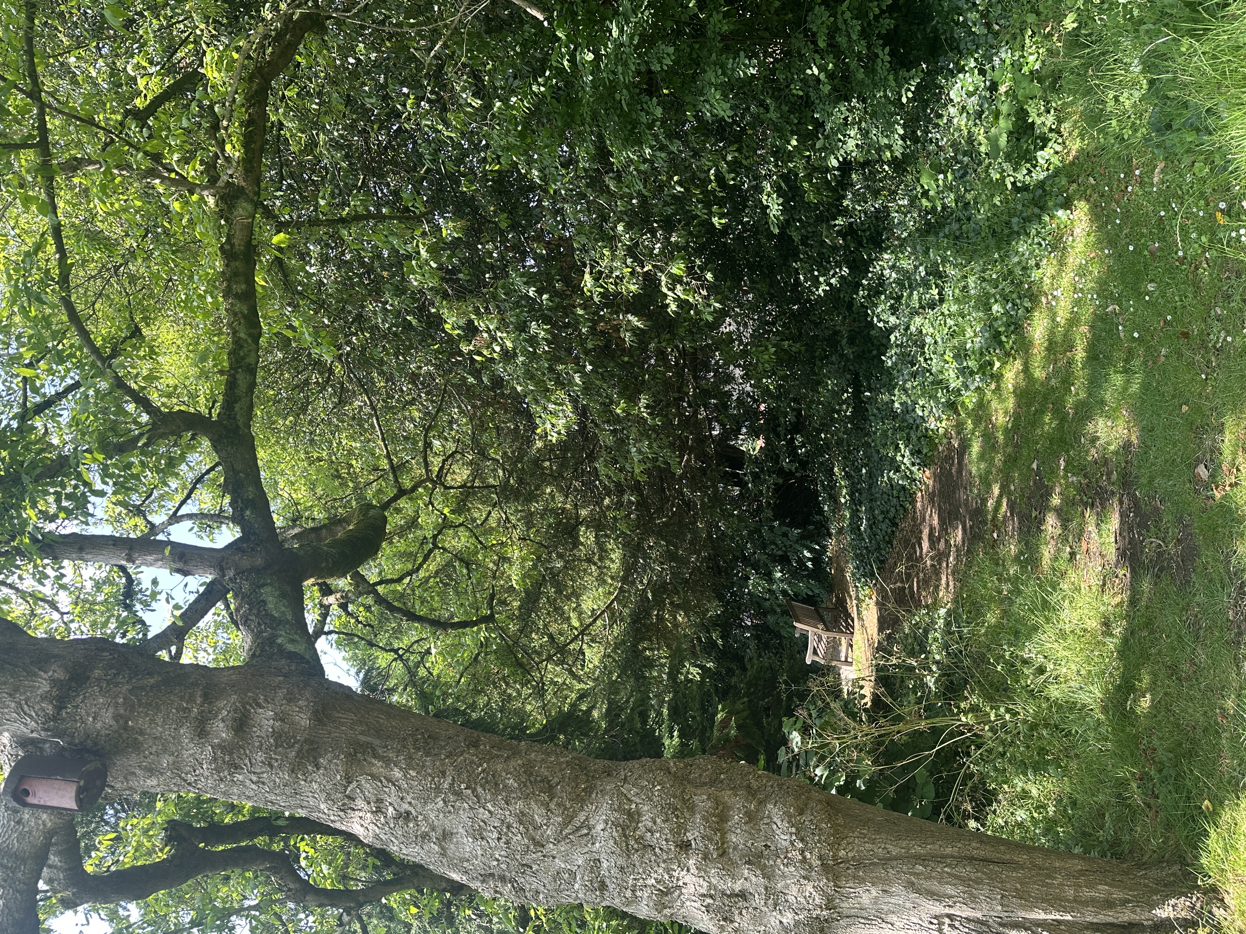 The Beauty of Bristol-13