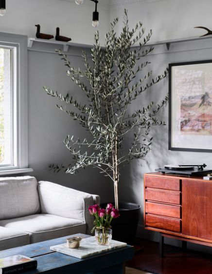 布里斯班夫妻打造绿意盎然梦想家园-4