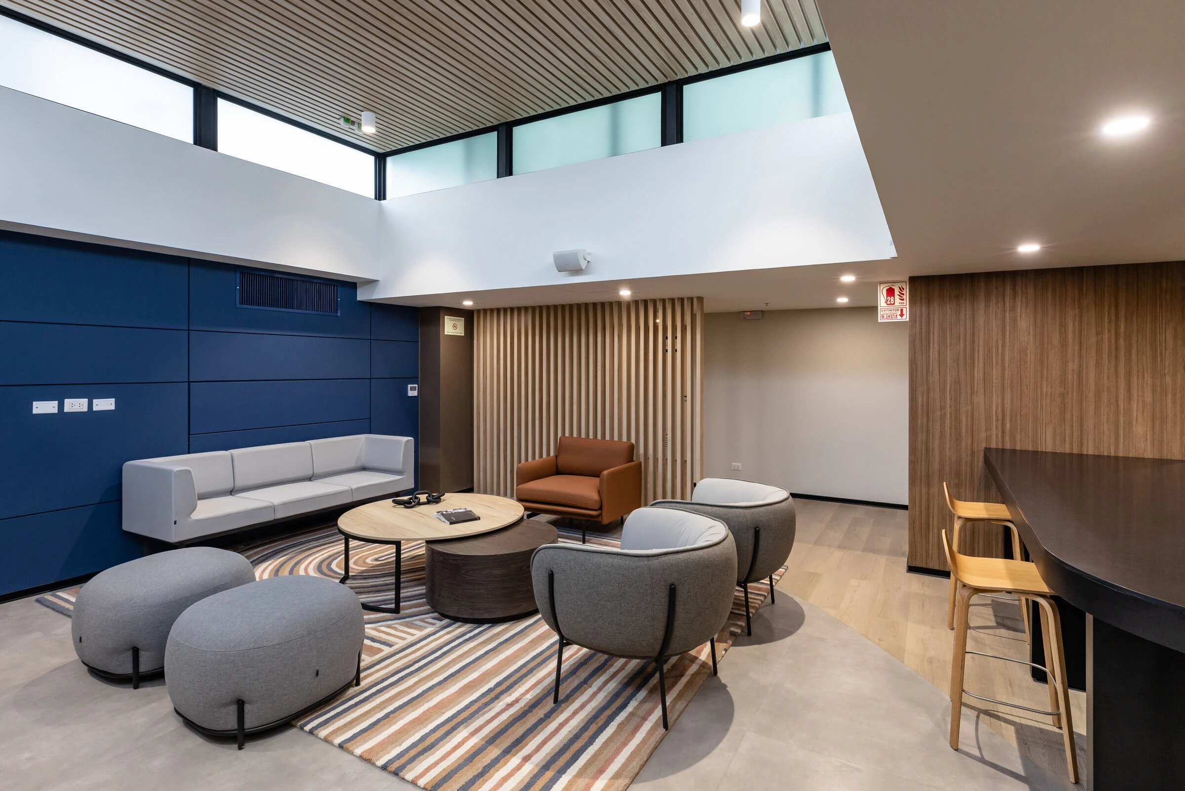 弗勒·比于尔巴诺娃丨秘鲁利马丨DRRP Spaces-8