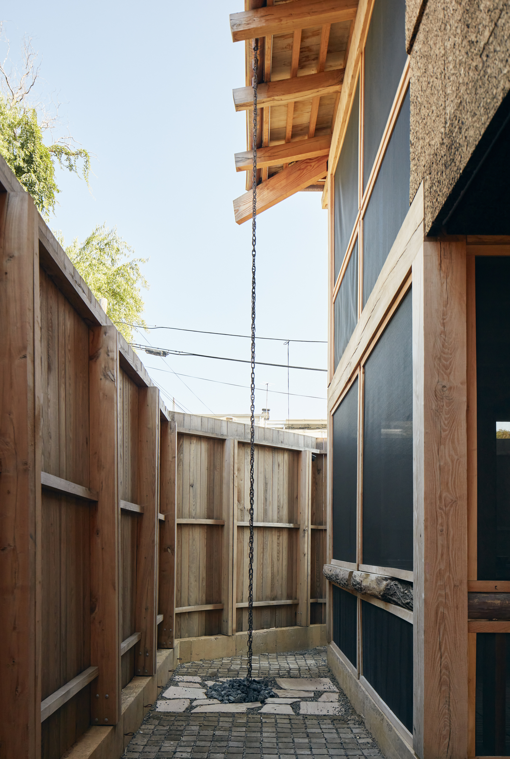 杨树丛丨美国华盛顿丨BLDUS-46