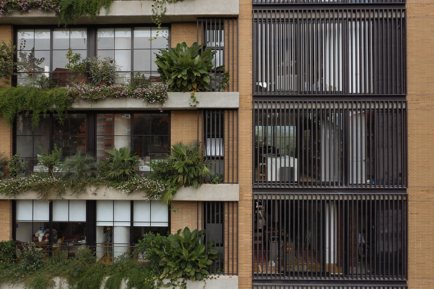 阿维尼翁绿色建筑-4