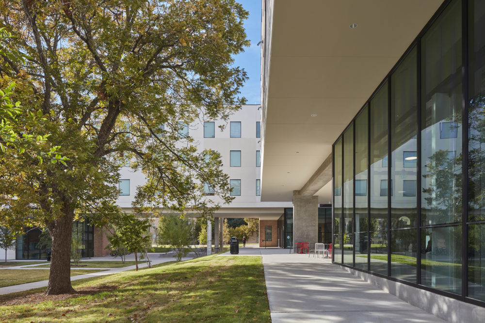 University of Rhode Island Brookside Apartments and Landscape Restoration - Sasaki-22