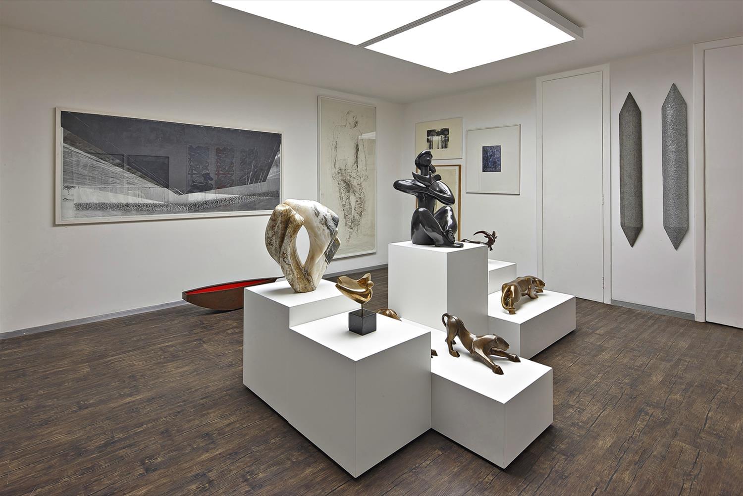 巴西 Dotart 艺术画廊 | 极简与功能的完美融合-7