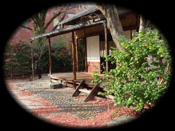 积翠园（平重盛「小松邸」迹庭园）丨日本京都-34