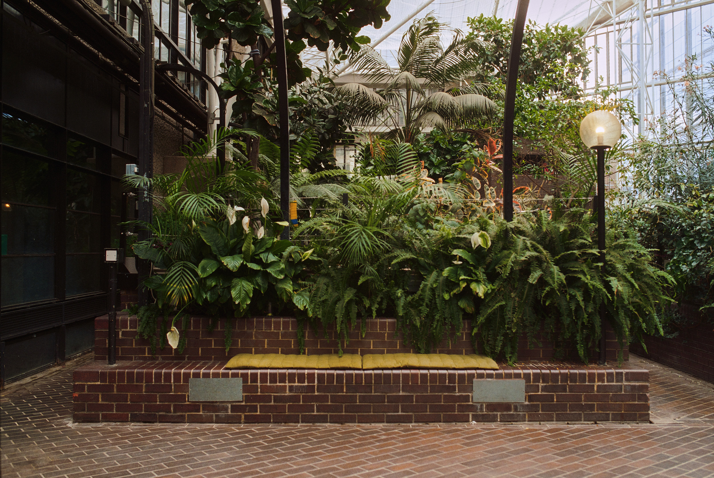 巴比肯温室丨英国伦敦-22