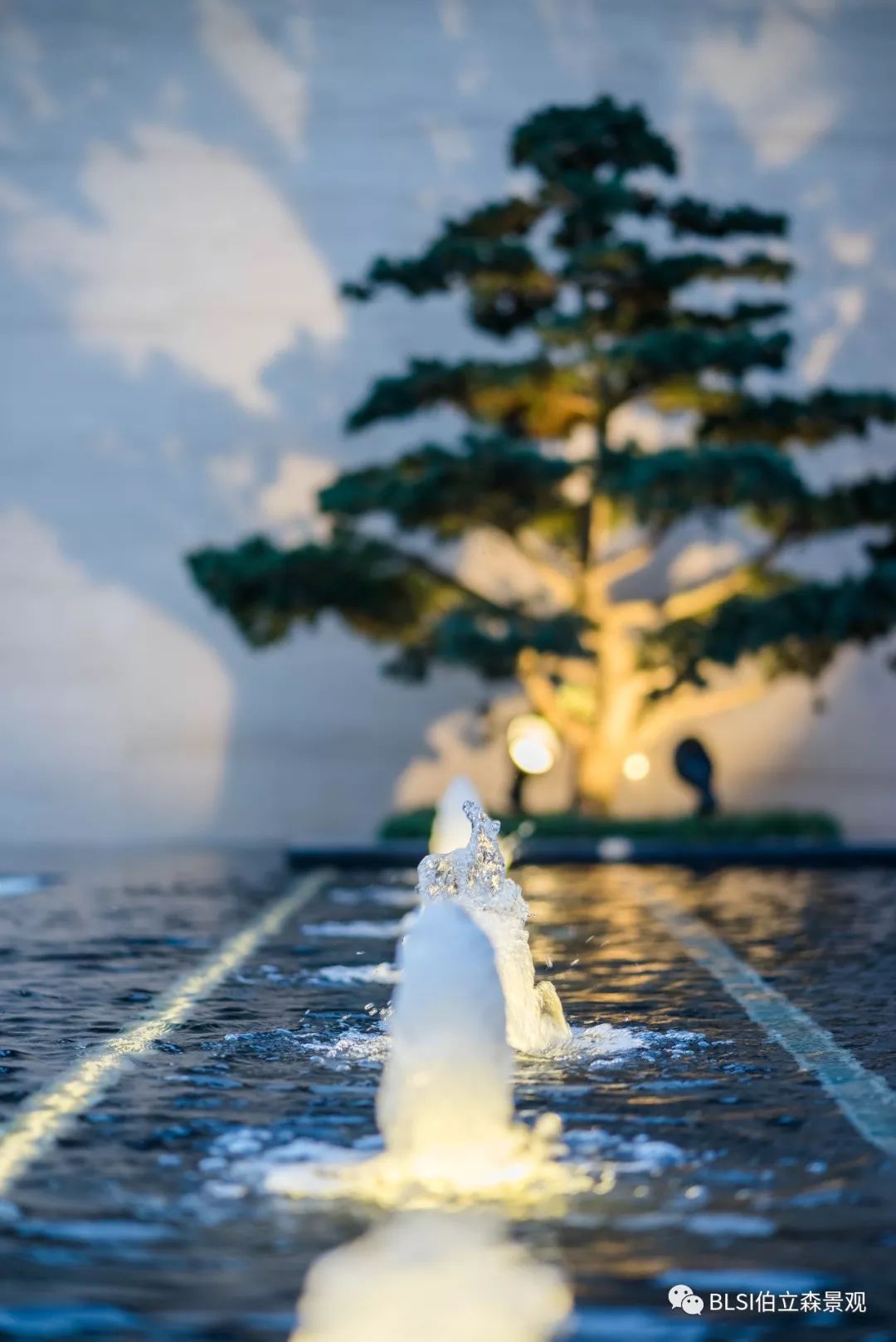 奥园天誉长兴 | 现代中式府邸的诗画之境-51